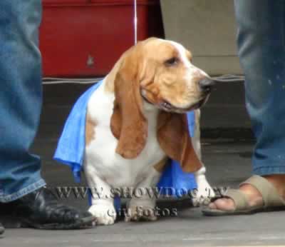 Clique sobre a foto para fechar